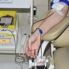 A doa&ccedil;&atilde;o de sangue &eacute; um ato de solidariedade e salva vidas - Foto: Andr&eacute; Ara&uacute;jo/Governo do Tocantins