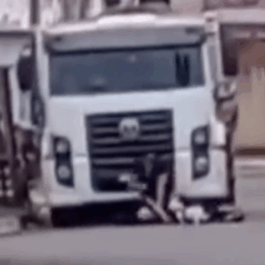 PM agride idoso brutalmente por causa de latido de cachorro no norte do TO; VÍDEO