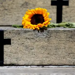 Crimes recentes mostram grave cenário de violência contra a mulher