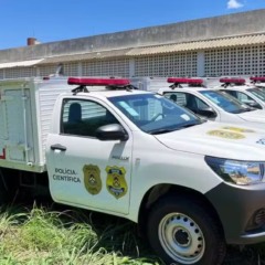 Homem é preso suspeito de matar e enterrar corpo da esposa em área de mata em Gurupi