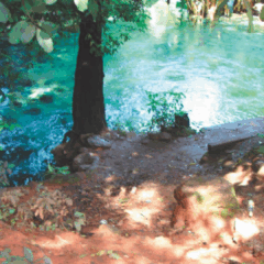 Justiça condena Município de Aurora e Naturatins a recuperar áreas degradadas nos Rios Azuis e Sobrado