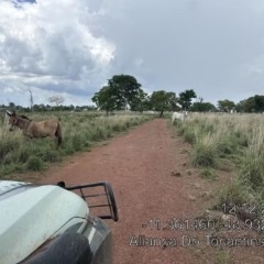 Fazendeiro recebe multa de R$ 1,6 milhão por desmatamento ilegal em área de reserva legal