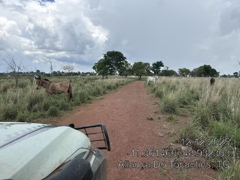 Fazendeiro recebe multa de R$ 1,6 milhão por desmatamento ilegal em área de reserva legal Fazendeiro recebe multa de R$ 1,6 milhão por desmatamento ilegal em área de reserva legal