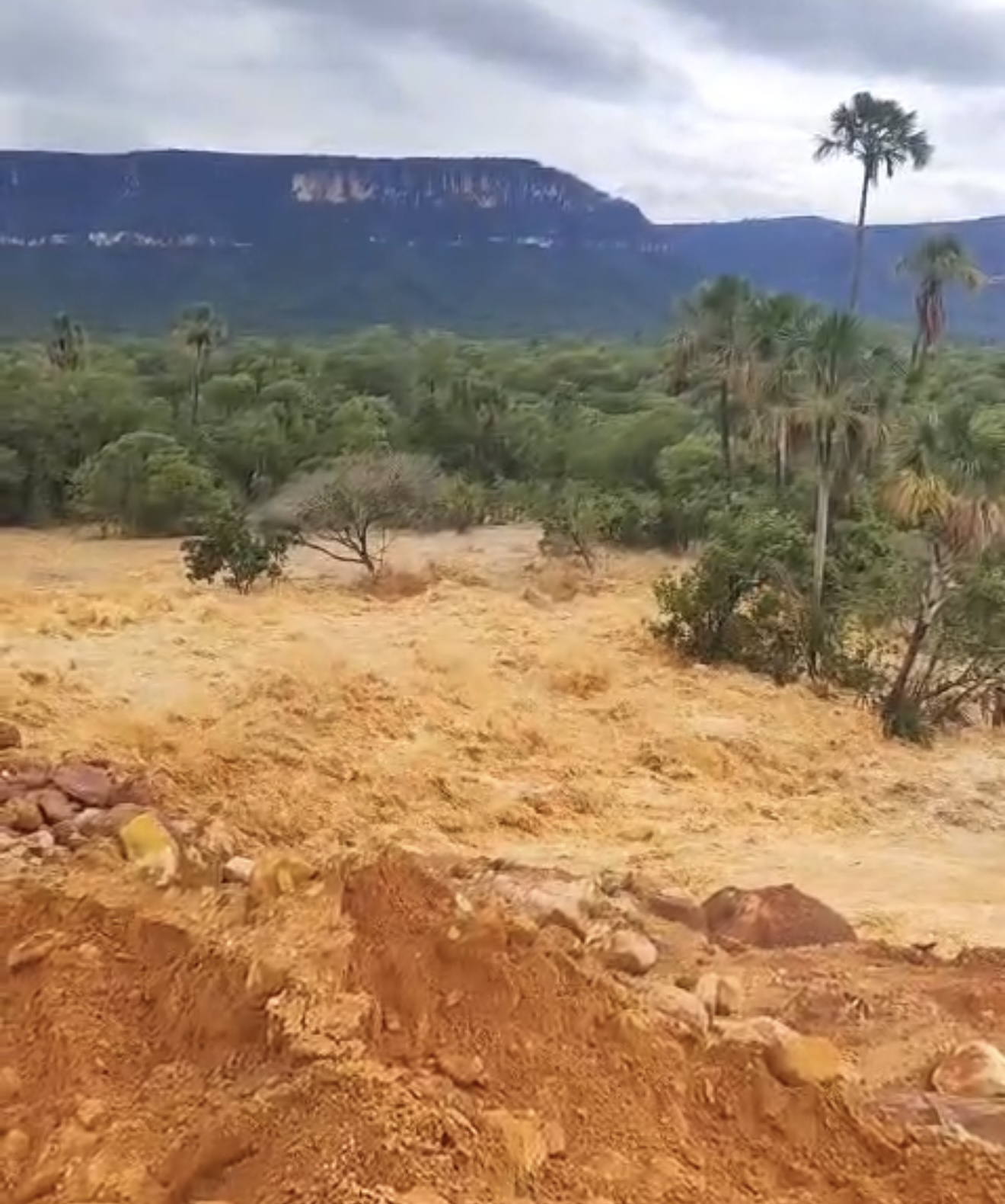 Moradores rurais são evacuados após rompimento de barragem no TO, confirma Defesa Civil
