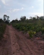 Estrada atolada em assentamento deixa crianças presas e revolta moradores do norte do TO