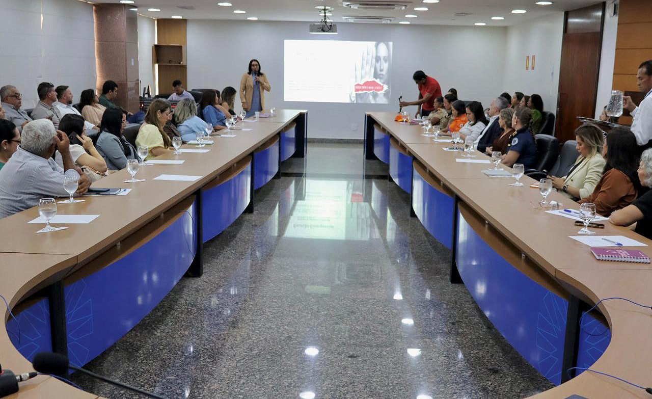 Estado articula ações emergenciais de enfrentamento à violência de gênero e prevenção do feminicídio
