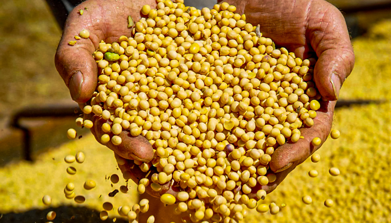 Soja permanece como o principal produto da pauta de exportações do Tocantins, representando 51% do total comercializado, com cerca de 3,9 milhões de toneladas exportadas - Foto: Governo do Tocantins Soja permanece como o principal produto da pauta de exportações do Tocantins, representando 51% do total comercializado, com cerca de 3,9 milhões de toneladas exportadas - Foto: Governo do Tocantins