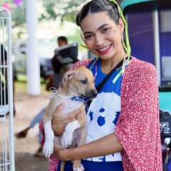 Shopping sedia evento de ado&ccedil;&atilde;o de c&atilde;es e gatos