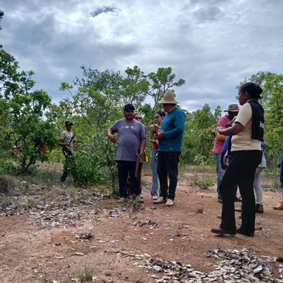 Impasse: Famílias assentadas cobram ação do INCRA Tocantins após desapropriação não efetivada em Alvorada