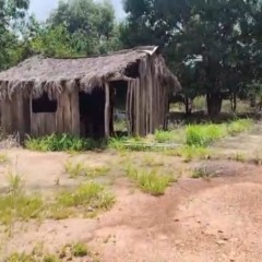 Jur&iacute;dico dos propriet&aacute;rios rebate Incra sobre situa&ccedil;&atilde;o em Palmeirante e alega: &ldquo;N&atilde;o houve despejo ilegal, viol&ecirc;ncia, coa&ccedil;&atilde;o ou confronto&rdquo;