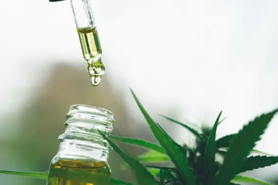 A cannabis medicinal é um produto obtido pela extração dos canabinoides, substâncias presentes na Cannabis sativa - Foto: Tinnakorn Jorruang/GettyImages