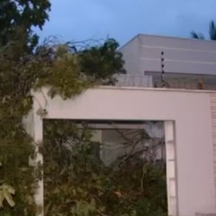 Casa de moradora na quadra Arso 151 &mdash; Foto: Reprodu&ccedil;&atilde;o/TV Anhanguera