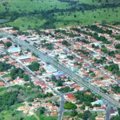 Pequizeiro