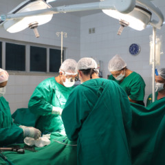 Somente em 2025, foram realizadas mais de 290 cirurgias, cerca de 2 mil interna&ccedil;&otilde;es e mais de 30 mil exames