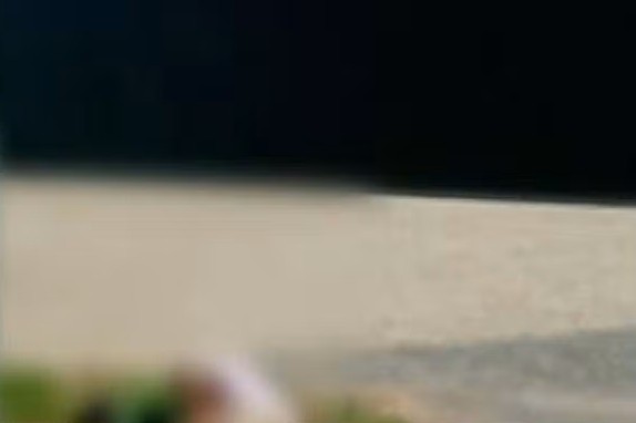 Polícia Civil apura suspeita de estupro em frente a base da Guarda Metropolitana de Palmas — Foto: Reprodução/TV Anhanguera Polícia Civil apura suspeita de estupro em frente a base da Guarda Metropolitana de Palmas — Foto: Reprodução/TV Anhanguera