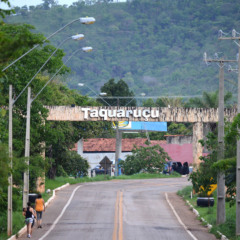 Taquaru&ccedil;u - Foto: Edu Fortes