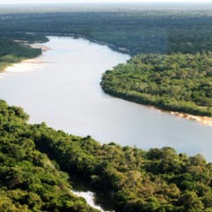 Parque Estadual do Cant&atilde;o - Foto: Fernando Alves/Governo do Tocantins