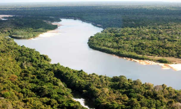 Parque Estadual do Cantão - Foto: Fernando Alves/Governo do Tocantins