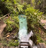 Fervedouro Buritizinho - Jalap&atilde;o - Foto @MarcoJacobBrasil