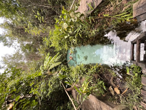 Fervedouro Buritizinho - Jalapão - Foto @MarcoJacobBrasil