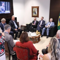 Vice-presidente do Senado, Eduardo Gomes defende potencial do Tocantins e di&aacute;logo sobre Mercosul em reuni&atilde;o com Parlamento Alem&atilde;o