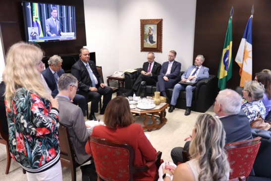 Vice-presidente do Senado, Eduardo Gomes defende potencial do Tocantins e diálogo sobre Mercosul em reunião com Parlamento Alemão