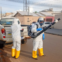 Foto: Jos&eacute; Nilson/CCZ Aragua&iacute;na