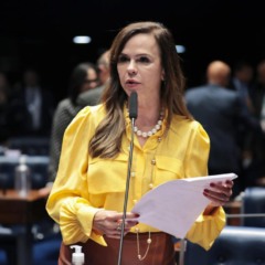 Senadora Professora Dorinha