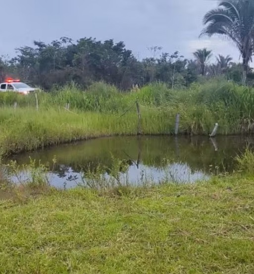 Ataque de abaelhas deixa uma pessoa morta — Foto: Corpo de Bombeiros/Divulgação