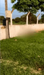 Daniel Francisco Ferreira Batista foi encontrado morto&mdash; Foto: Jornal Sou de Palmas/ Reprodu&ccedil;&atilde;o TV Anhanguera
