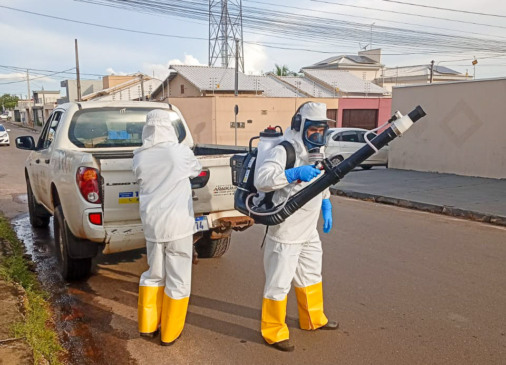 Foto: José Nilson/CCZ Araguaína