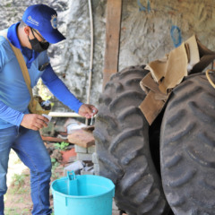 Equipes de sa&uacute;de intensificam bloqueios, visitas domiciliares e a&ccedil;&otilde;es educativas para conter o avan&ccedil;o da dengue e reduzir riscos &agrave; popula&ccedil;&atilde;o - Foto: Marcos Sandes Filho/Secom Aragua&iacute;na 