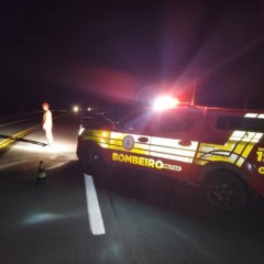 Homem morre ap&oacute;s ser atropelado na BR-153, em Wanderl&acirc;ndia &mdash; Foto: Bombeiros/Divulga&ccedil;&atilde;o
