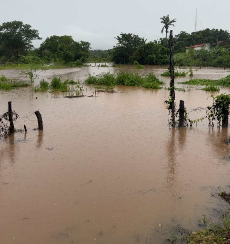 Água avança rápido, invade casas e deixa rastro de prejuízos no norte do TO