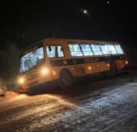 Ônibus quase tombou depois que motorista desviar de buraco na rodovia - Foto: Reprodução
