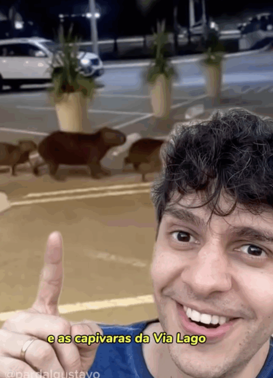 Chambaril, calor e Via Lago: humorista transforma rotina de Araguaína em vídeo bem-humorado