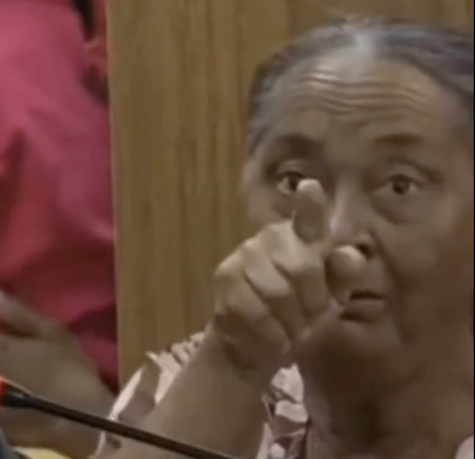 Simplicidade que encanta: reação de idosa ao se ver na TV durante sessão de Câmara no TO viraliza