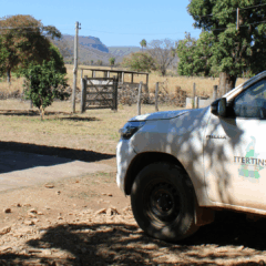 Regulariza&ccedil;&atilde;o fundi&aacute;ria avan&ccedil;a com mutir&atilde;o de atendimentos no sudeste do&nbsp;Tocantins&nbsp;