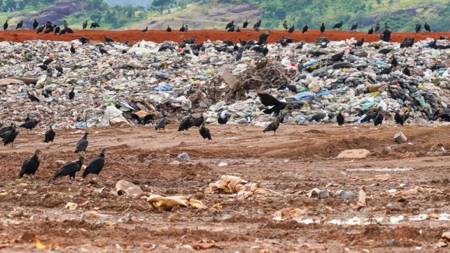 Foto: Marcelo de Deus