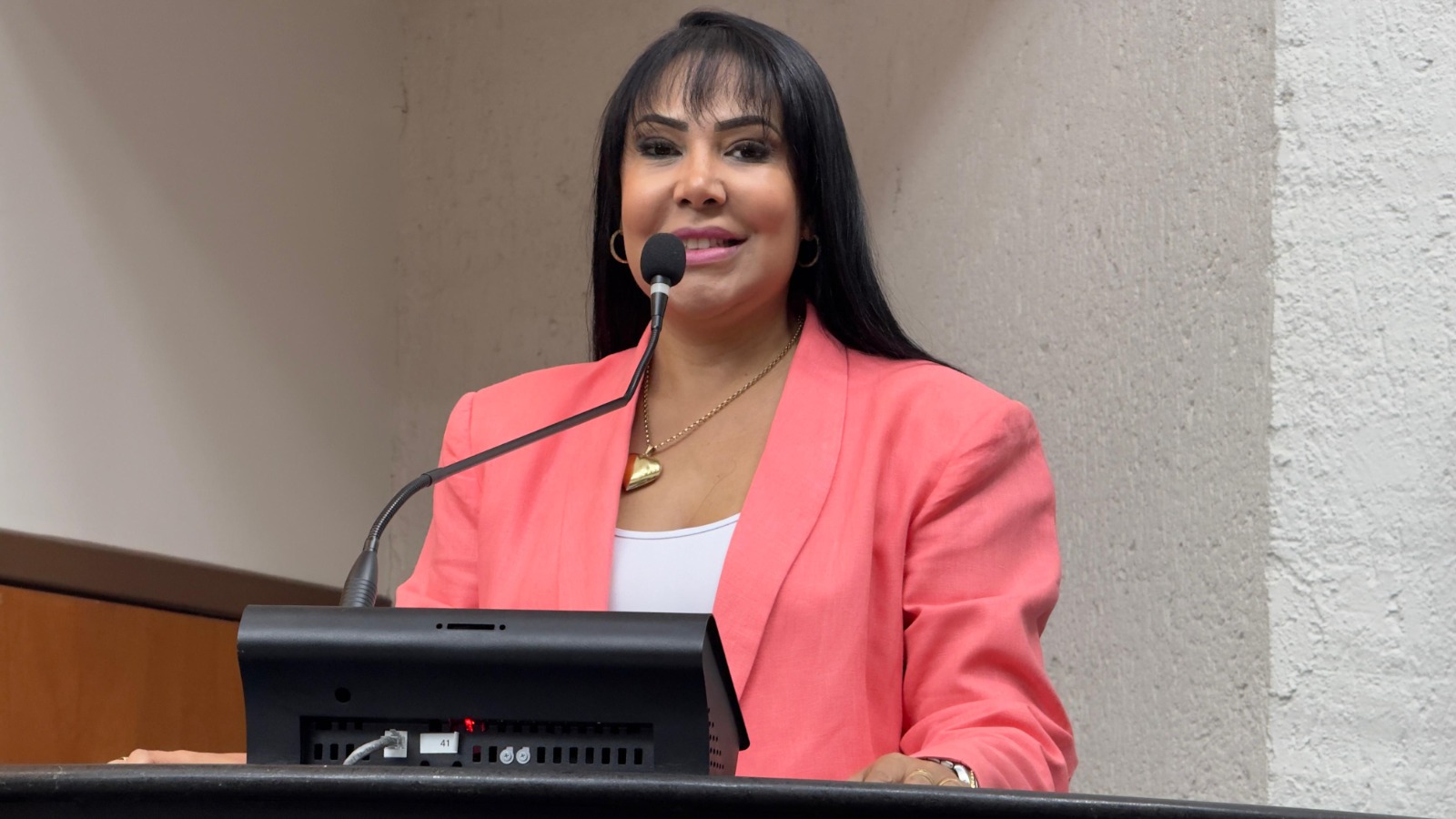 Janad apresenta requerimento para garantir mais segurança na TO-050 entre Arraias e Campos Belos