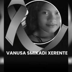 Pol&iacute;cia Militar destr&oacute;i estruturas de garimpo ilegal em Almas &mdash; Foto: Divulga&ccedil;&atilde;o/PMTO