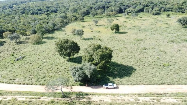 Equipes fazem buscas por mecânico agrícola em região de mata — Foto: João Carlos Lopes/Secretaria Municipal de Meio Ambiente de Talismã