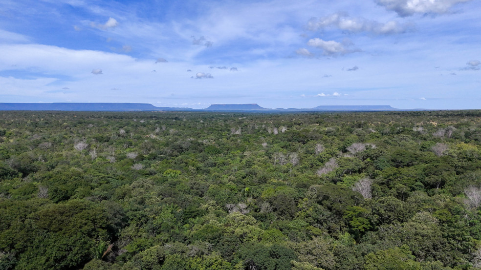 Cooperação tem fortalecido o cumprimento do Código Florestal e promovido uma agenda alinhada à produção sustentável. Foto: Marcel de Paula/Governo do Tocantins Cooperação tem fortalecido o cumprimento do Código Florestal e promovido uma agenda alinhada à produção sustentável. Foto: Marcel de Paula/Governo do Tocantins