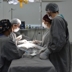 Equipe do Hospital Geral de Palmas (HGP) durante mutir&atilde;o de cirurgias pedi&aacute;tricas - Foto: Luciana Barros