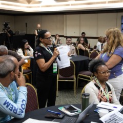 Entidade leva ao Minist&eacute;rio do Meio Ambiente acusa&ccedil;&otilde;es de supostas irregularidades no Programa REDD+