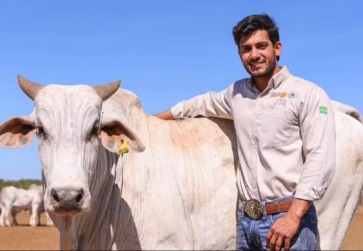 Guilherme Pedroza, de 31 anos, foi encontrado morto em uma fazenda, em Gurupi (TO) — Foto: Reprodução/Instagram Guilherme Pedroza