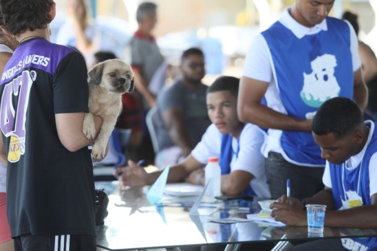 Palmas realiza ação gratuita de saúde animal com 350 atendimentos para cães neste sabado 