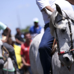 Vacina&ccedil;&atilde;o em dia e &aacute;lcool proibido:&nbsp;&oacute;rg&atilde;o recomenda medidas para garantir bem-estar animal na ExpoGurupi&nbsp;