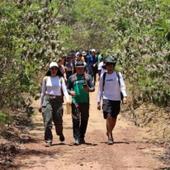 Cursos profissionalizantes promovidos pelo Governo do Estado colaboram com o acesso ao mercado do turismo - Foto: Adiel Ponte/Arquivo/Governo do Tocantins