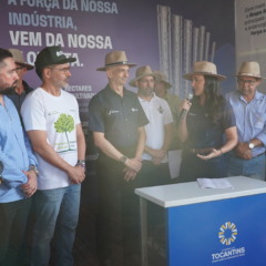 Na Agrotins, Tocantins fortalece cadeia da silvicultura com cria&ccedil;&atilde;o de C&acirc;mara Setorial